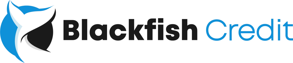 BigCatFinancial_BigCatFinancial-weknowcreditrepair-weknowcreditrepair-blackfishcredit-500pxwide.webp